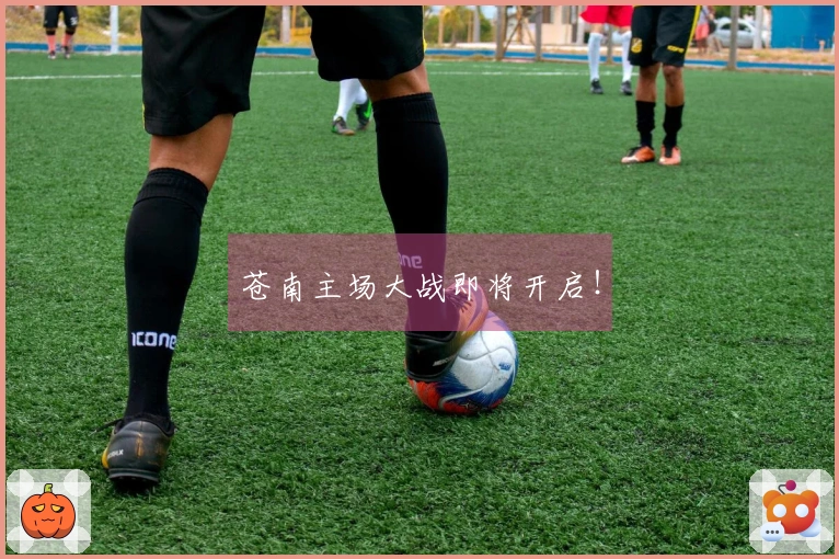 苍南主场大战即将开启！